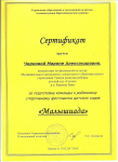 Сертификат за подготовку команды 2017 г